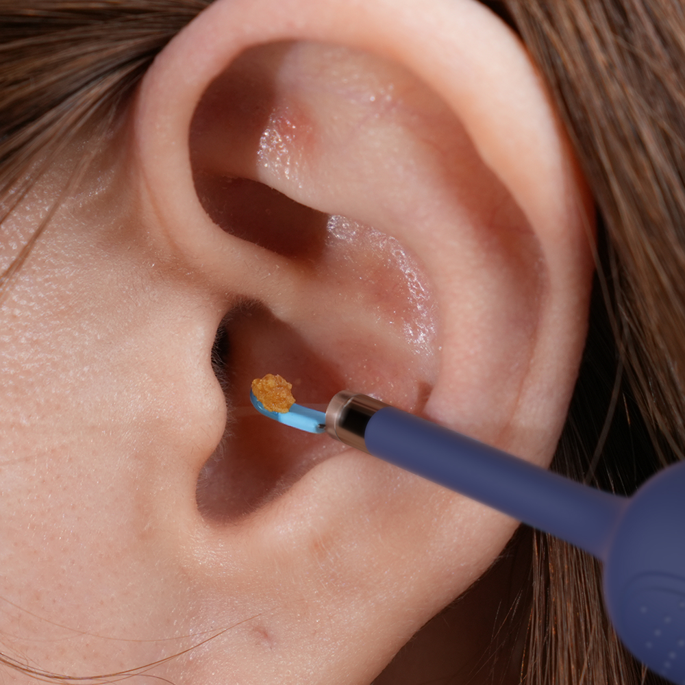 Bebird Official Store