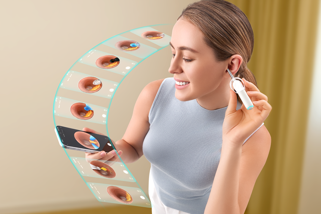 Bebird Official Store